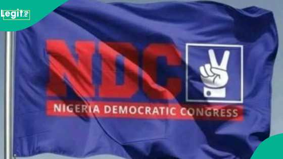 NDC: Mai neman takarar sanata ya maka INEC da jam'iyyarsu Kwankwaso a kotu