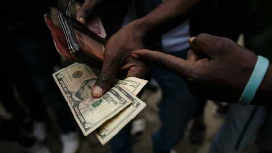 Zimbabwe braces for new gold coin as hedge against inflation