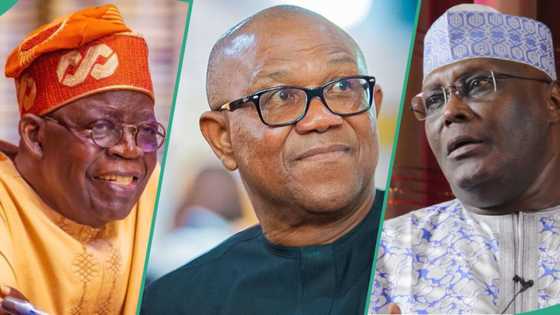Supreme Court judgment: President Tinubu told what to do after defeating Atiku, Peter Obi