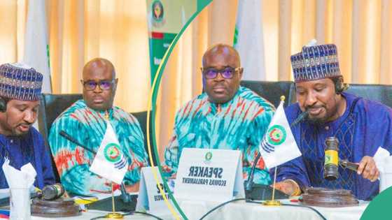 Barau advocates for ECOWAS MPs to join hands for regional prosperity