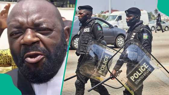 'Free Nnamdi Kanu' protest: Presidency takes strong action against IPOB leader's lawyer