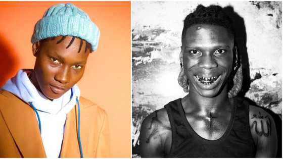 “Your song no fit enter number 1”: Zinoleesky declares as beef with Seyi Vibez gets messier, videos trend