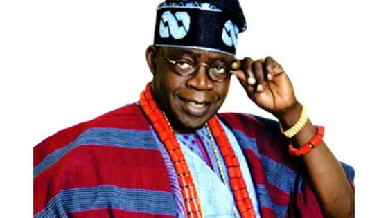 2023: Sai mun tabbatar Tinubu ya zama shugaban ƙasan Najeriya, Adewale