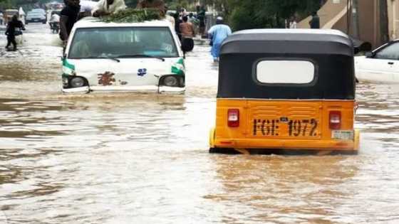 Kano: 'Yan Kasuwa Sun Tafka Asara Yayin da Ruwan Sama Ya Mamaye Kasuwar Kantin Kwari