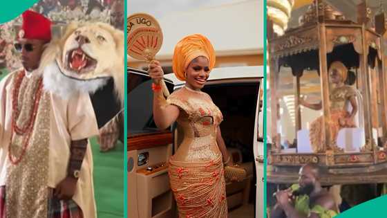 Kego25: Nigerians react to billionaire's daughter's N12m custom-made dress at traditional wedding