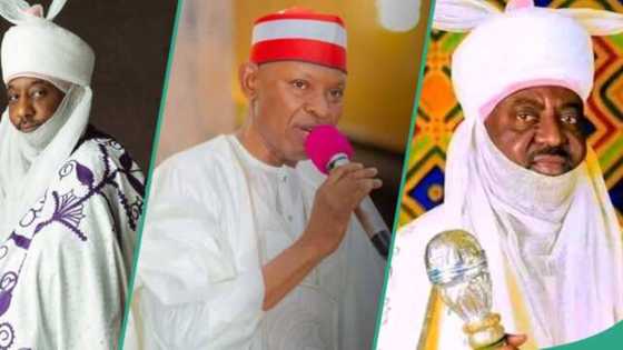 Kano: An shiga ɗimuwa bayan jin harbe harbe a fadar da Aminu Ado Bayero yake