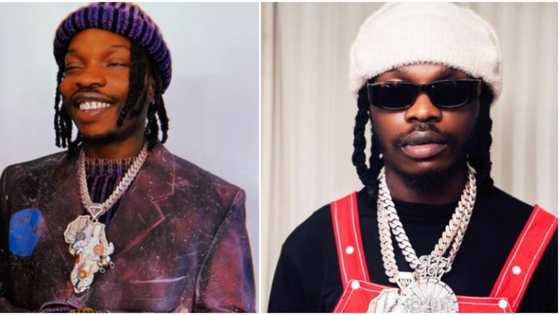 "Give us address abeg": Video of Naira Marley sharing money to people outside his house stirs reactions