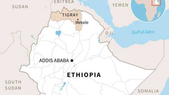10 killed in twin air strikes on Ethiopia's Tigray: hospital
