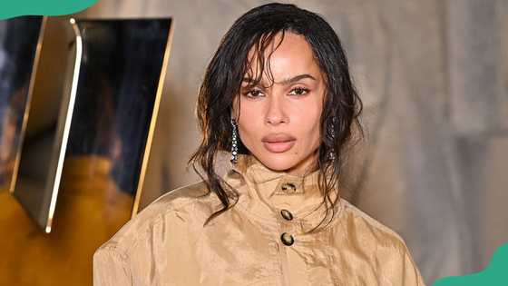 From early love to high-profile flings, the Zoe Kravitz's boyfriends story