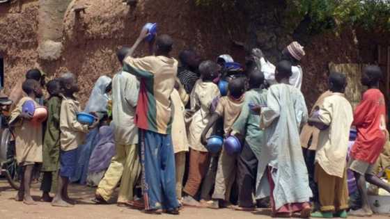 Habaka ilimi: Gwamnatin Buhari za ta hada kai da wasu a fara koyawa almajirai Turanci a Gombe