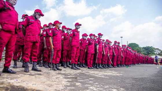 Amotekun commander gives reasons why they are unable to tackle bandits