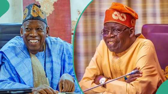 APC chairmen plan rallies nationwide against hardship protest, reason emerges