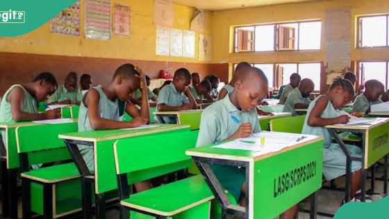 2 reasons why schools should start closing at 12 noon, "Engineer" speaks, Nigerians react