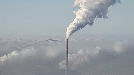 Mongolia's children choke in toxic pollution