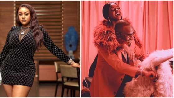 "The wedding must hold": Fans rejoice as Davido gushes over stunning photos of 3rd baby mama Chioma