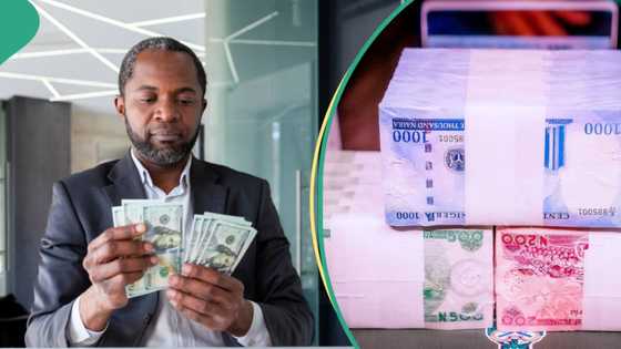 "It will hit N2,000": Nigerians react as naira falls to its lowest level against US dollar