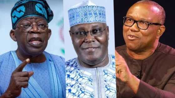 Tinubu, Obi ko Atiku? Gwamna Wike ya fadi irin dan takarar da zai marawa baya