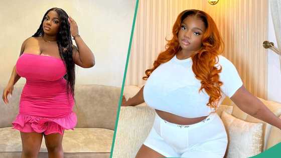 BBNaija's Dorathy gets fans fascinated as she cuts her hair, looks beautiful: "She stresses me"