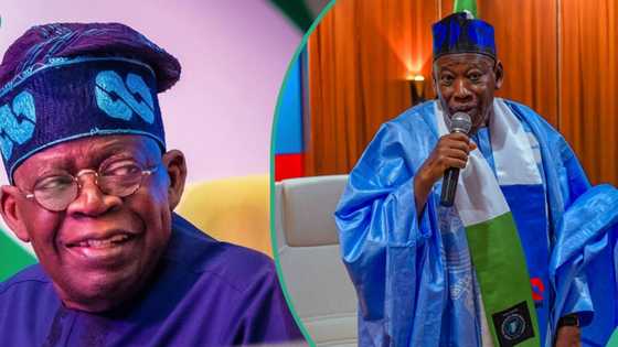 Ganduje reacts as Tinubu approves e-registration of APC members, “He is so happy with it”