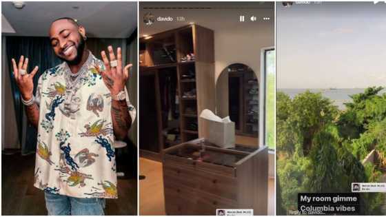 Gives me Columbia vibes: Davido proudly shows off tastefully furnished bedroom with a view of the ocean