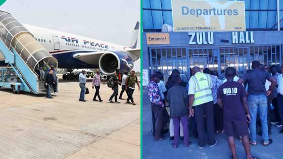 Air Peace shares details as Oshiomole allegedly locks Abuja airport gate after missing his flight