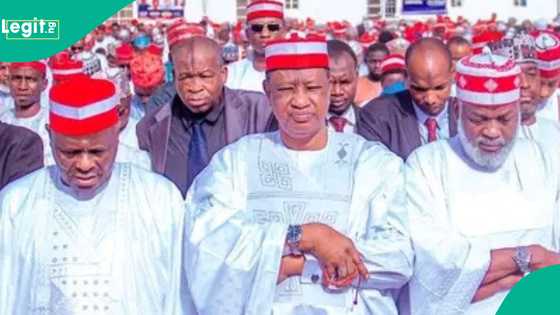 NDC: An gano wanda Kwankwaso ke so ya tsayar ya fafata da Abba a Kano