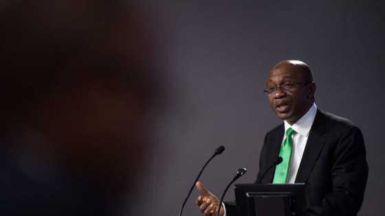 CBN Governor Emefiele to be arrested? Senate issues threat with reason