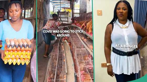 Banker resigns from her job after 13 years, converts her home to catfish and poultry farm in video
