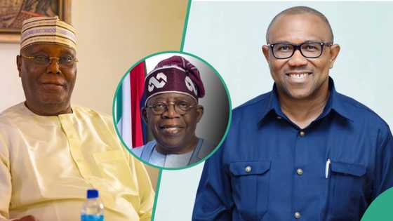Tribunal Judgement: Prominent prophetess reveals “God’s choice” between Tinubu, Obi, Atiku