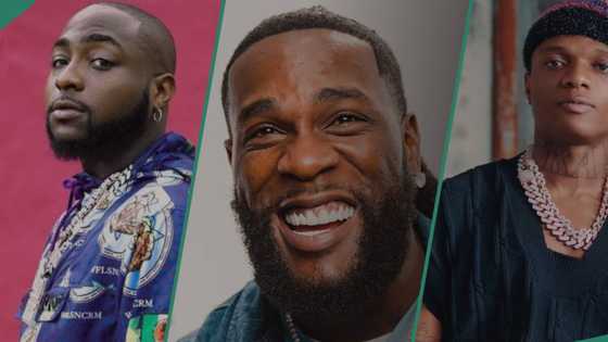 Davido vs Wizkid drama: Burna Boy 'minds his business,' parties hard at Lagos club, video trends