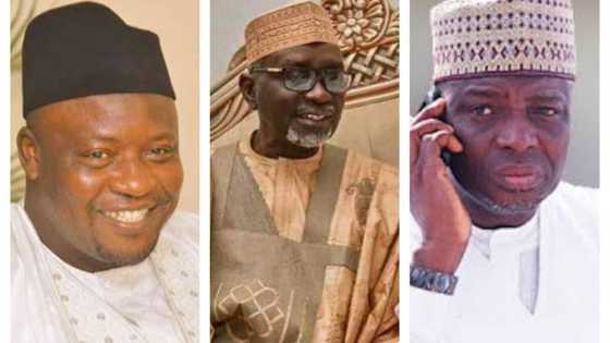 Malam Shekarau da sauran yan takara biyu da suka lashe tikitin Sanata a zaɓen fidda gwanin NNPP a Kano