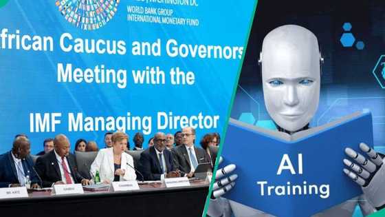 IMF warns AI could cut entry-level job opportunities for fresh graduates