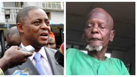 Wakili: Fani-Kayode can't be taken seriously - OPC chieftain blasts ex-minister