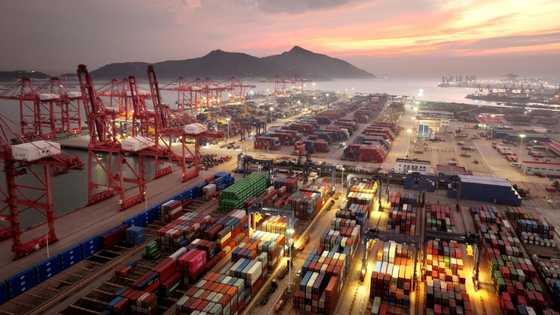 AI may boost global trade value by nearly 40%: WTO