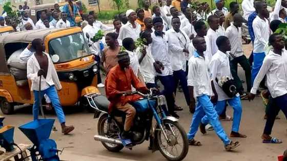 Tension hits northern state as students protest separation of boys, girls in school