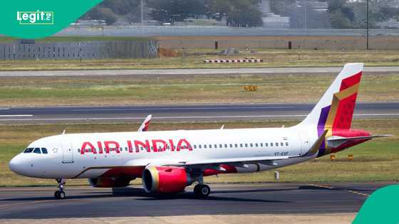 Air India: Pilots in severe panic after deadly crash killed 279 people