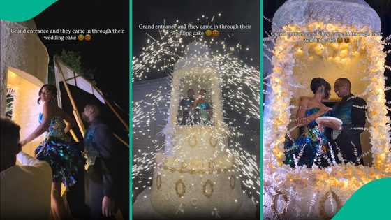 JP2025: Priscy and Juma Jux climb into their massive 15-foot white wedding cake, leave fans in awe