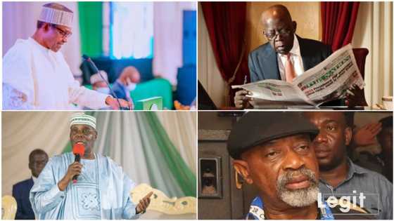 Powerful politicians who have goofed in public since APC takes over from PDP