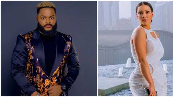 BBNaija: Maria's IG handler pens a note on her behalf over backlash, threats for nominating Whitemoney