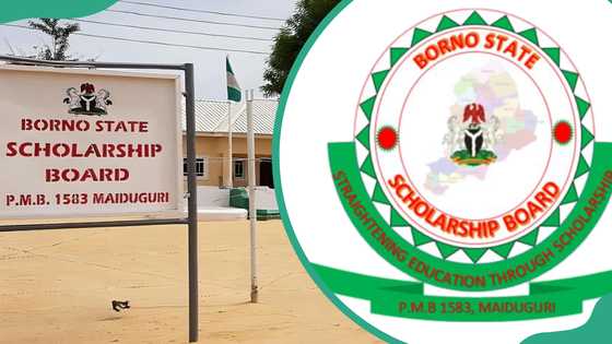 Borno state scholarship eligibility and how to apply