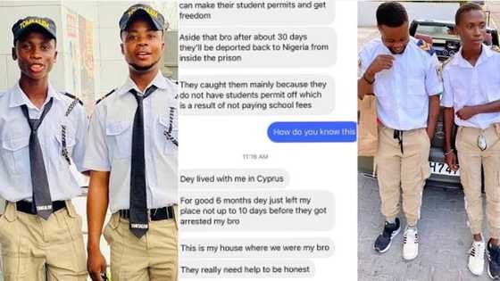 "They are facing deportation": Leaked chats expose why Happie Boys were reportedly arrested abroad