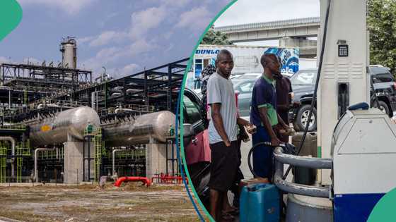 FG, Dangote Refinery agree new date on petrol sale to Nigerians – report