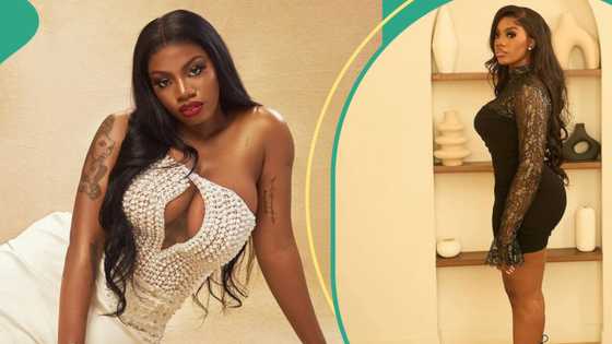 "Am I so terrible that everyone else deserves love but I don't": BBNaija's Angel replies troll