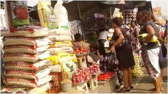 Legit.ng weekly price check: Bag of rice now N31,000, egusi now N120,000 after Sallah celebrations