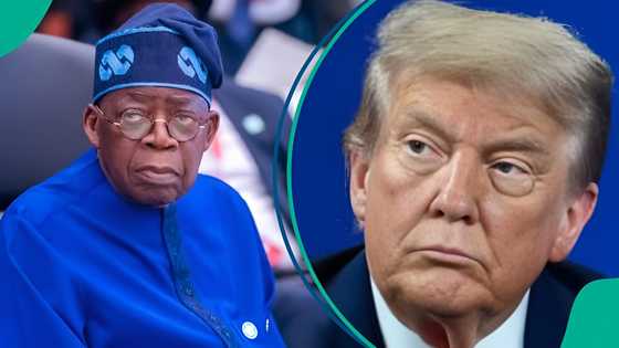 "He can't": Man backs Tinubu amid Trump's threat, makes big statement about US army