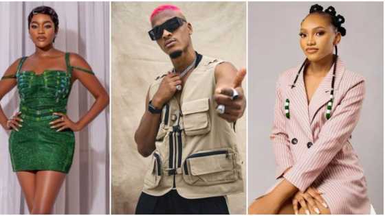 "She'll go home soon": Beauty breaks up with Groovy, hits him with her wig for dancing with Chomzy