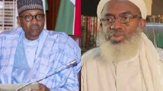 Sheikh Gumi ya ci gyaran Shugaba Buhari, ya fadi abin da zai kawo saukin kayan abinci