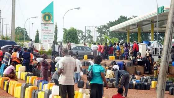 Filling Stations Sell Fuel at N350 Per Litre as Lagosians Lament