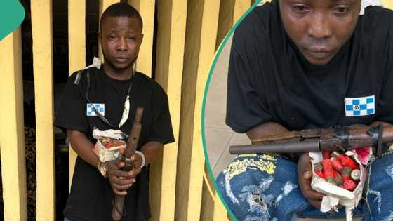 Police arrest man with locally made gun, 25 live cartridges in Lagos