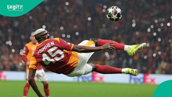 Former French international Ronald Zubar calls Victor Osimhen the most dangerous striker in Europe